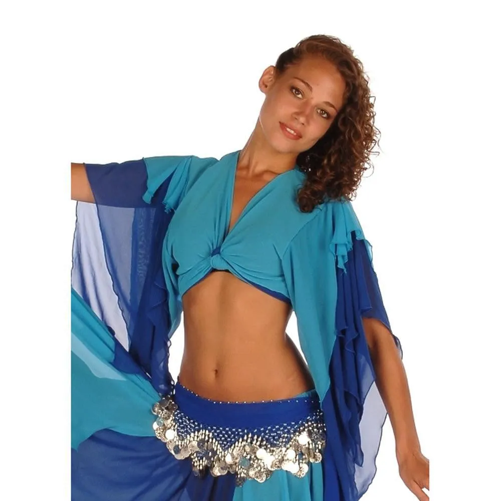 Belly Dance Chiffon 2-Color Choli Top | TOURNE AND SWIRL