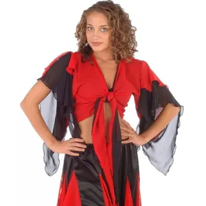 Belly Dance Chiffon 2-Color Choli Top | TOURNE AND SWIRL