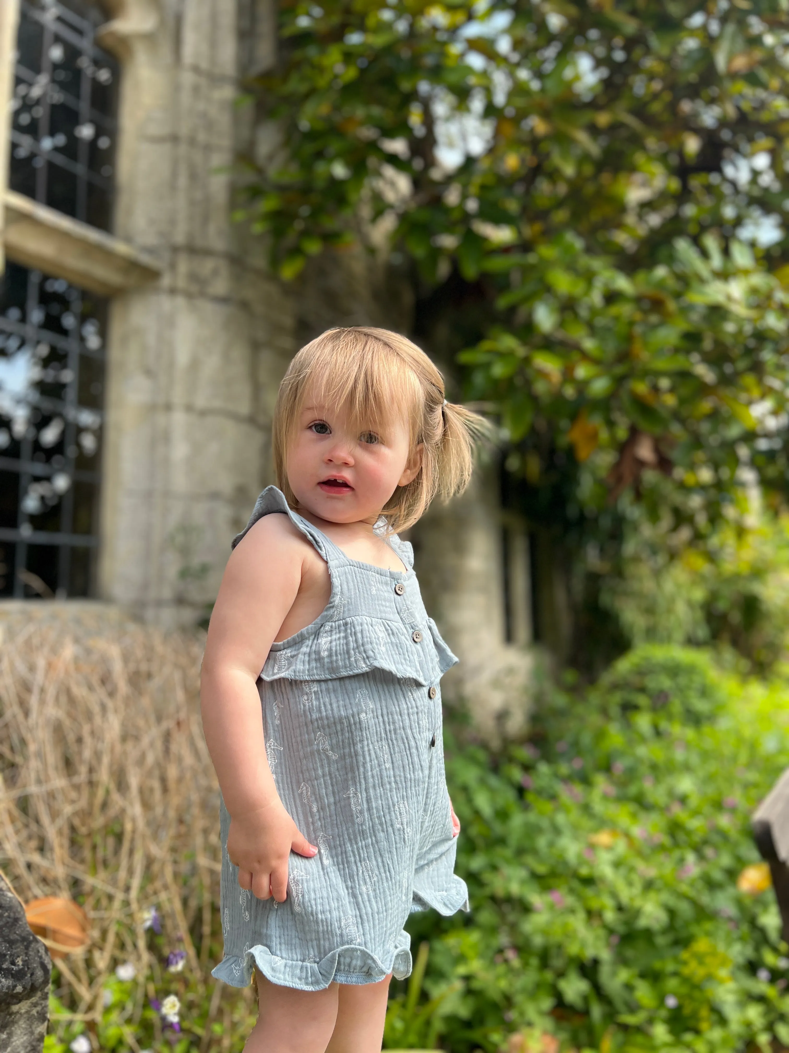 Freya Overalls in Blue Seahorses