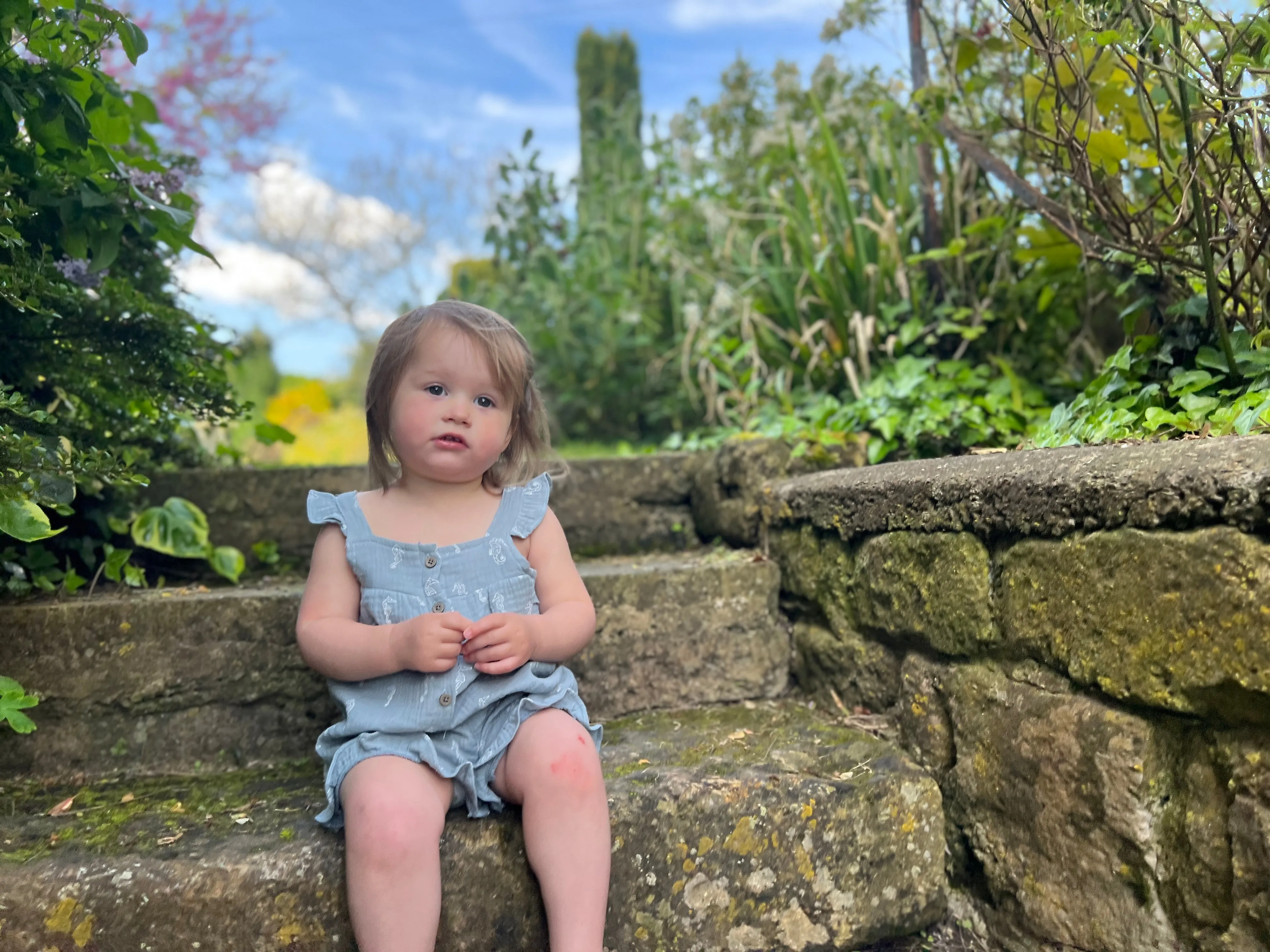 Freya Overalls in Blue Seahorses